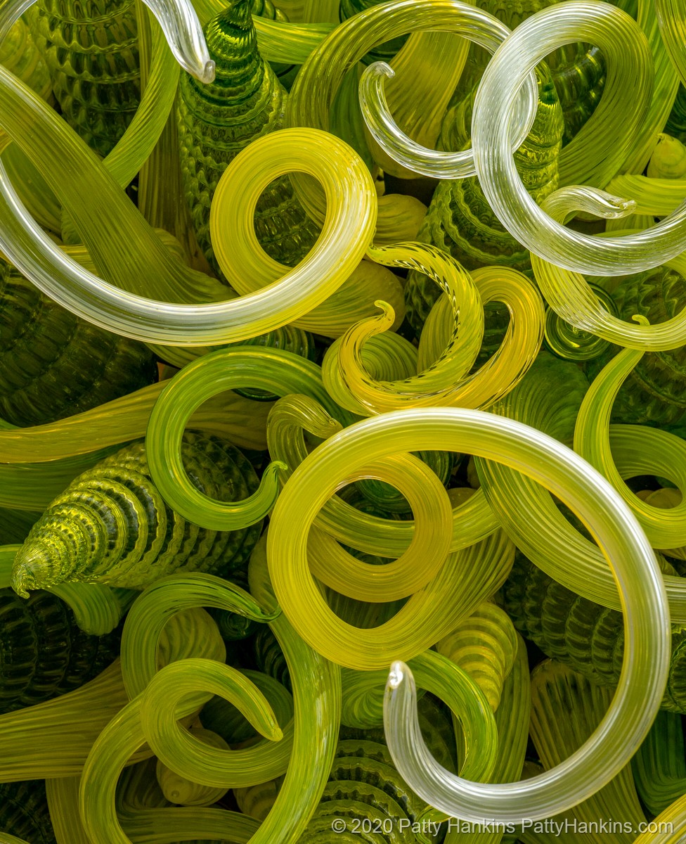 Chihuly Glass at the New York Botanical Garden