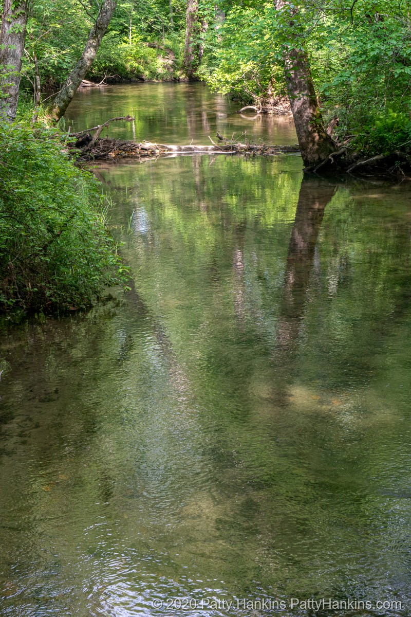 Stream at Cades Cove, Great Smoky Mountains National Park © 2020 Patty Hankins
