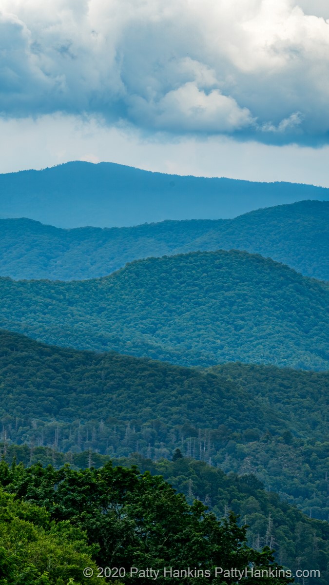 Newfound Gap, Great Smoky Mountains National Park © 2020 Patty Hankins