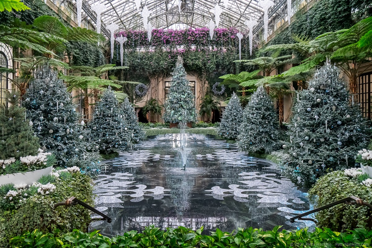 Christmas in the Exhibition Hall, Longwood Gardens © 2021 Patty Hankins