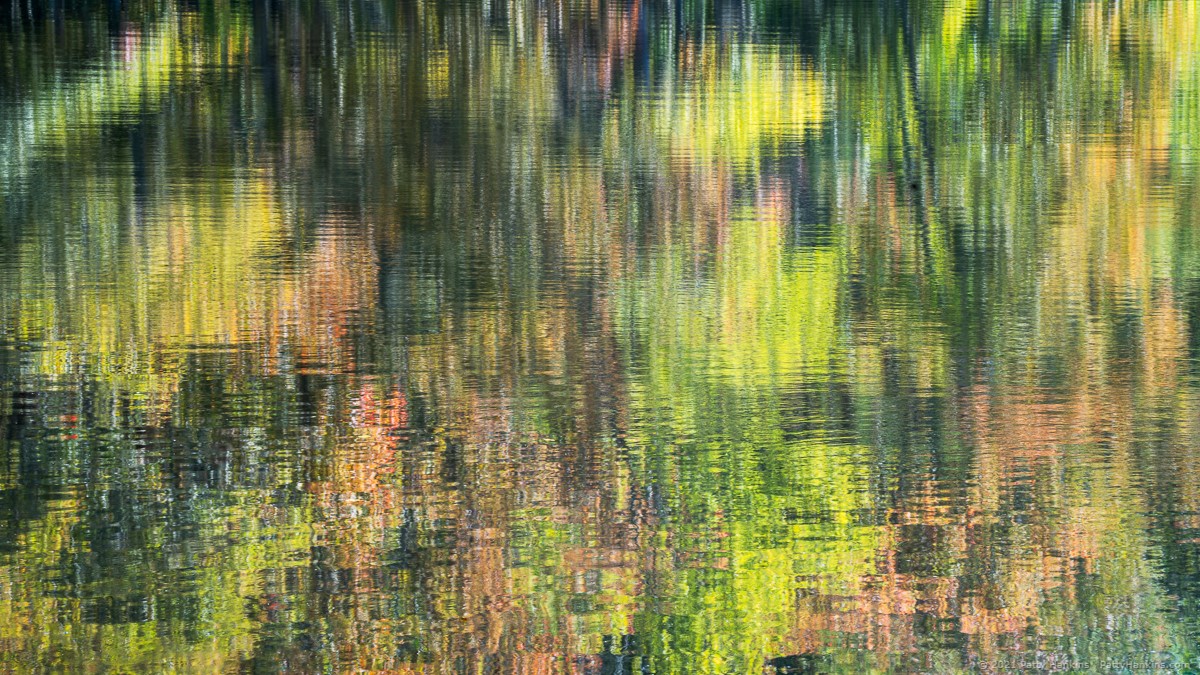 Fall Reflection, Southford Falls State Park © 2021 Patty Hankins