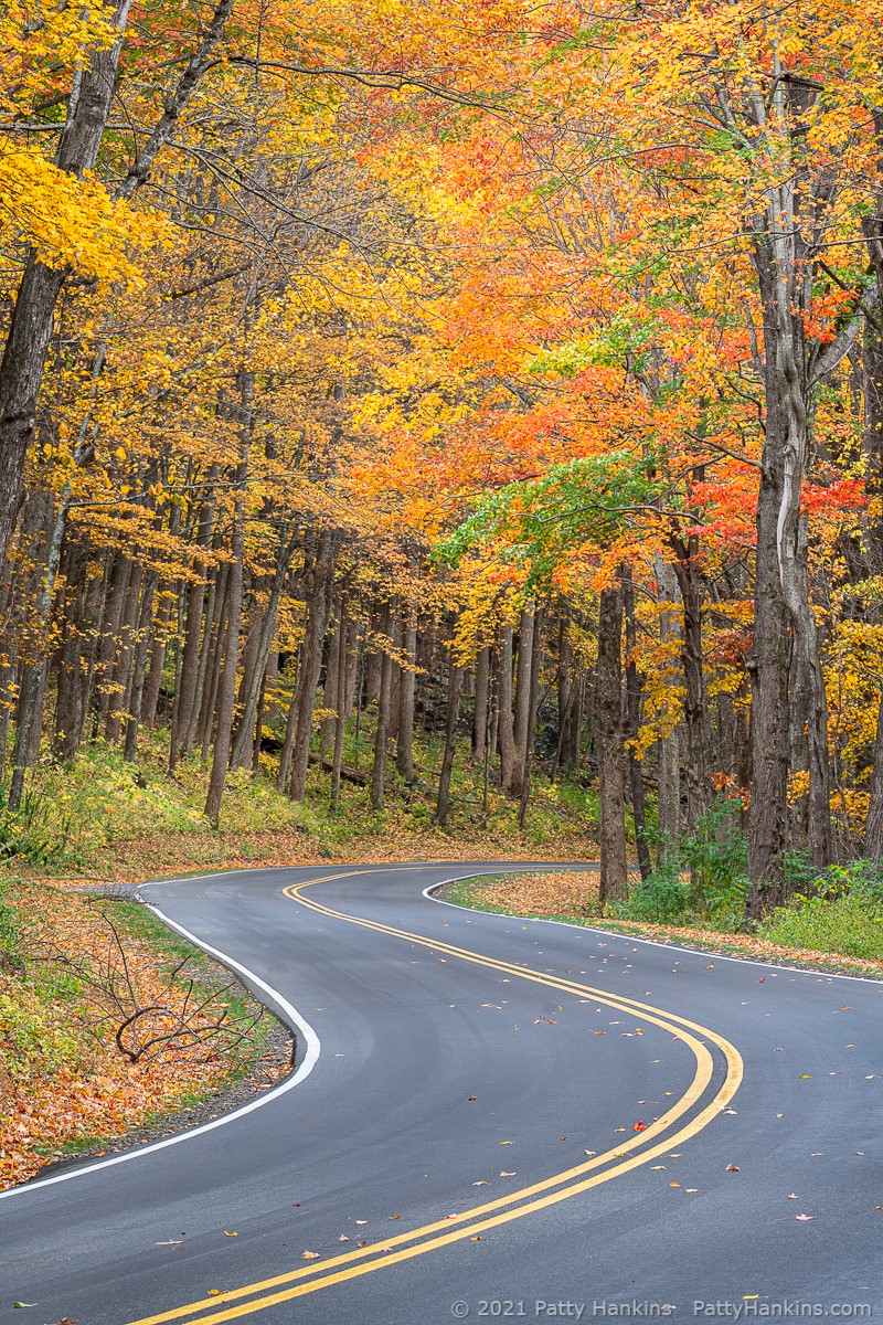 Down a Winding Road, Great Smoky Mountains National Park © 2021 Patty Hankins