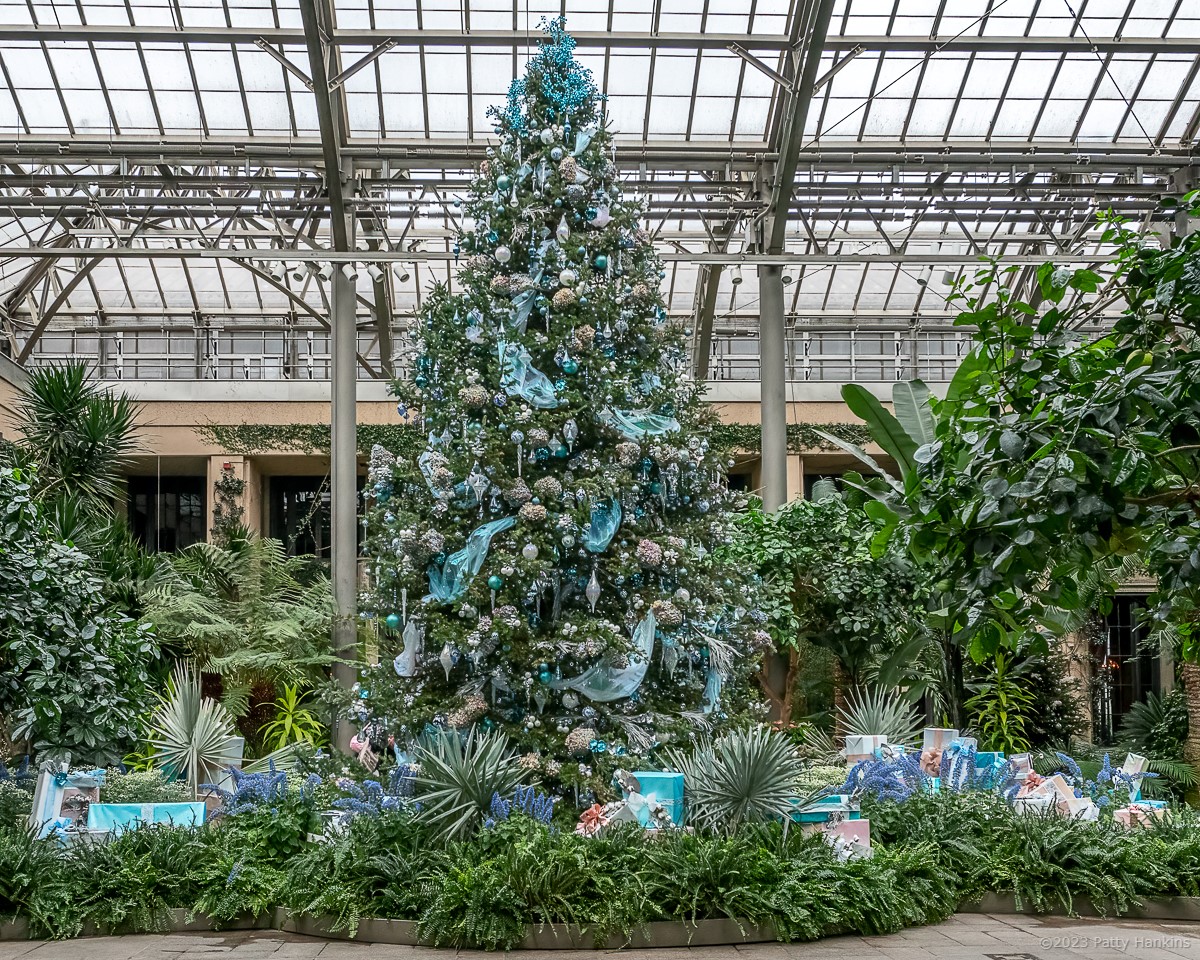 Christmas in the East Conservatory © 2023 Patty Hankins