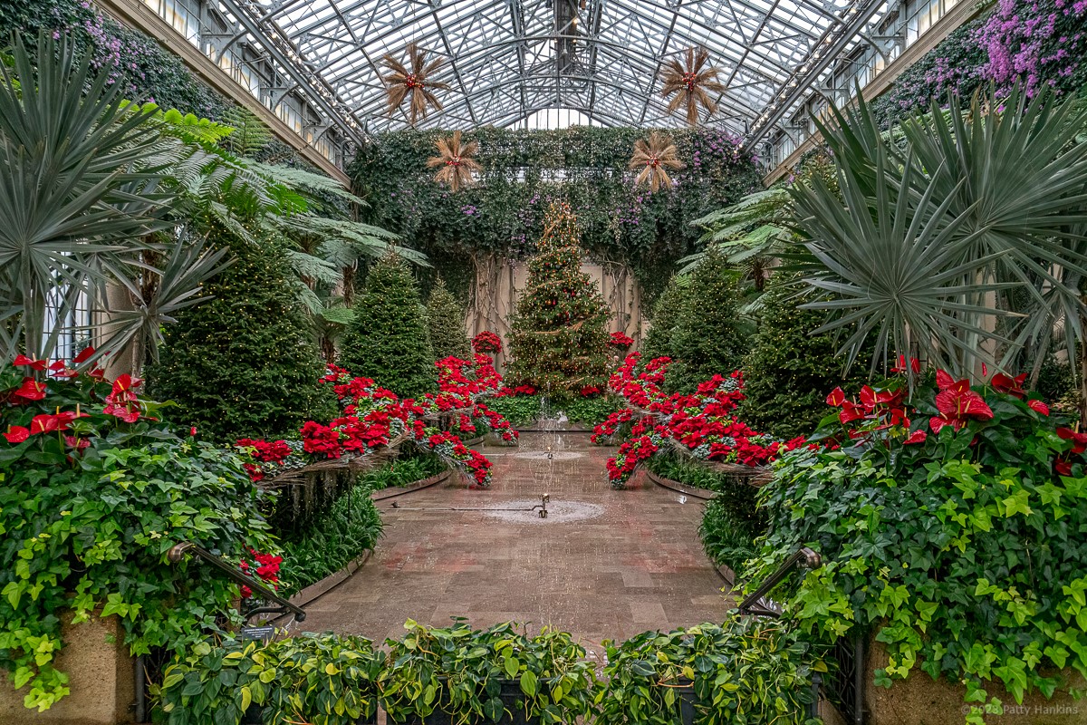 Christmas in the Exhibition Hall © 2023 Patty Hankins