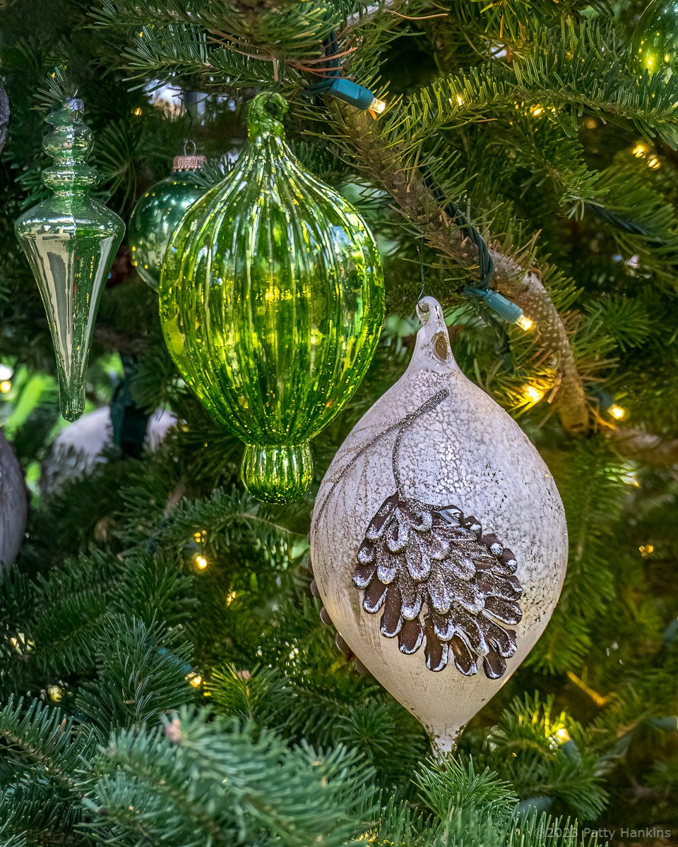 Ornaments on a Tree in the Conservatory © 2023 Patty Hankins